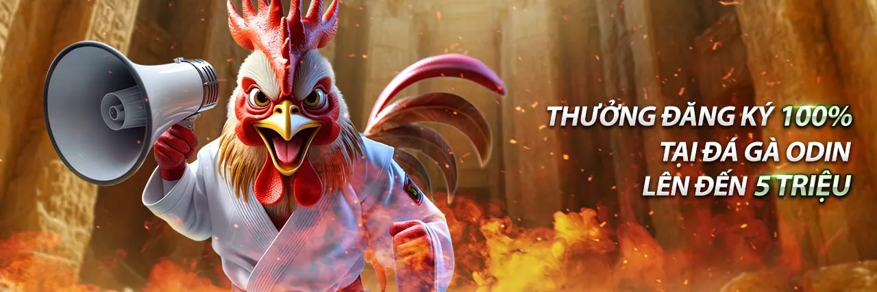 Phương thức thanh toán an toàn tại E88 Ball